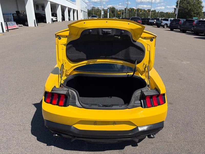 Ford Mustang EcoBoost Coupe 2024