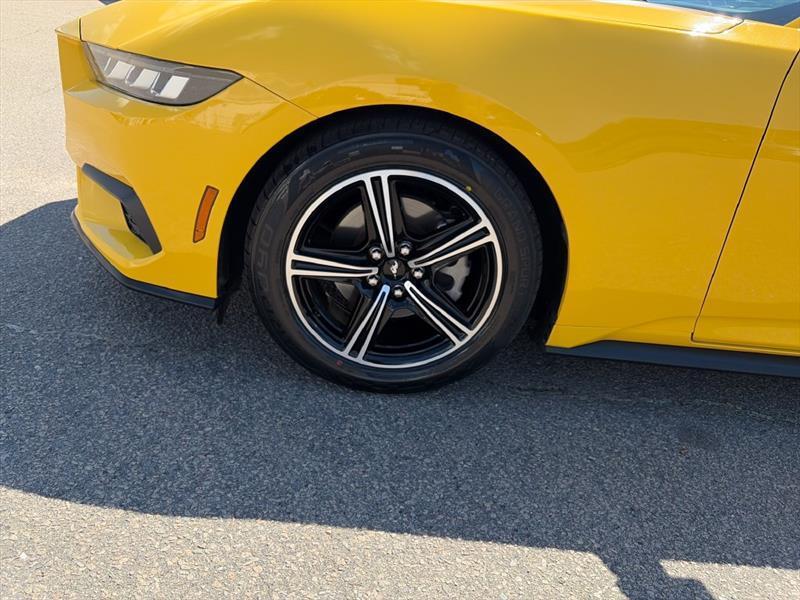 Ford Mustang EcoBoost Coupe 2024