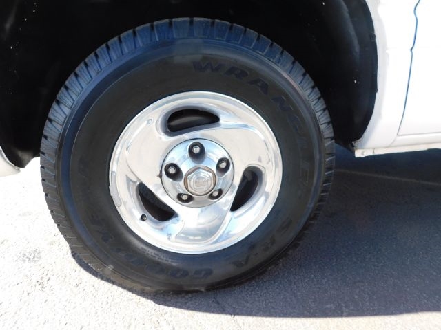 Dodge Ram 1500 2dr Reg Cab 119" WB 1999