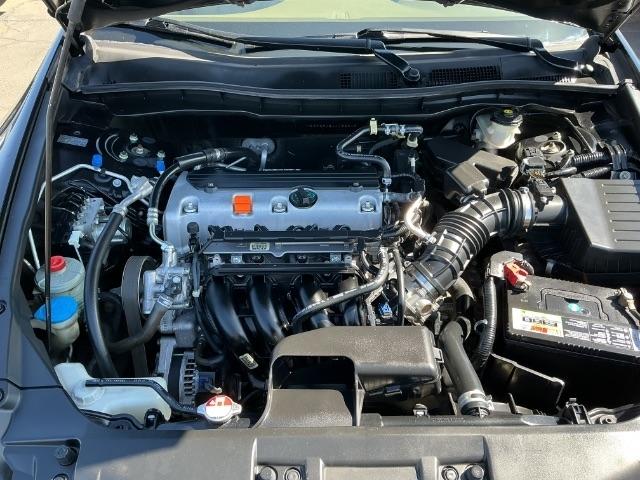 Honda Accord Sdn 4dr I4 Auto LX-P 2010