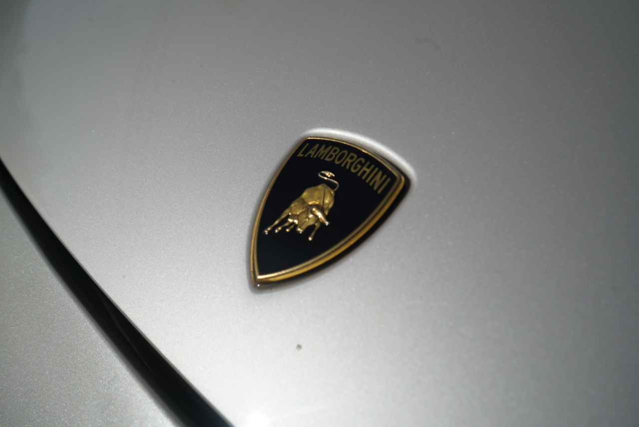 Lamborghini Gallardo 2dr Cpe 2008