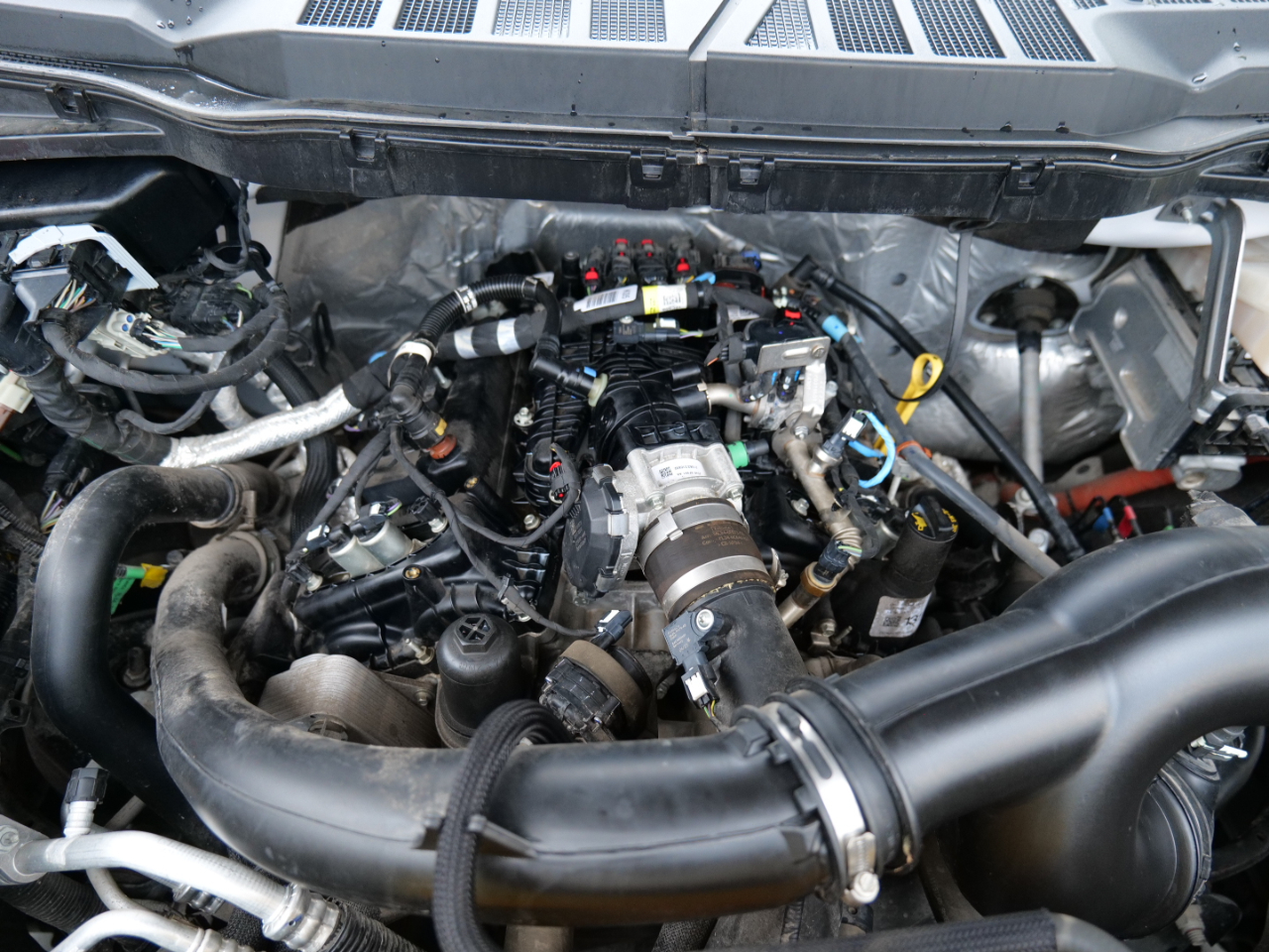 Ford F-150 XLT 4WD SuperCrew 5.5' Box 2021 Ford F-150 XLT 4WD SuperCrew 5.5' Box 2021