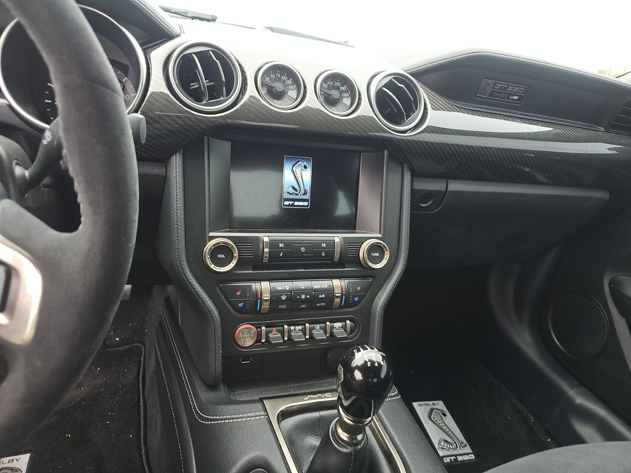 Ford Mustang Shelby GT350 Fastback 2020 Ford Mustang Shelby GT350 Fastback 2020