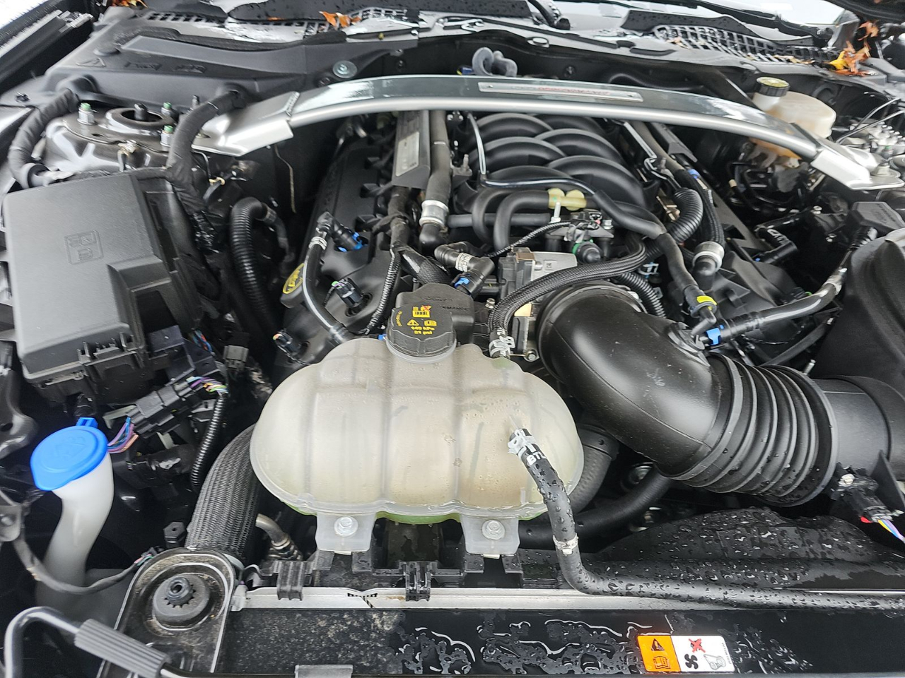 Ford Mustang Shelby GT350 Fastback 2020 Ford Mustang Shelby GT350 Fastback 2020