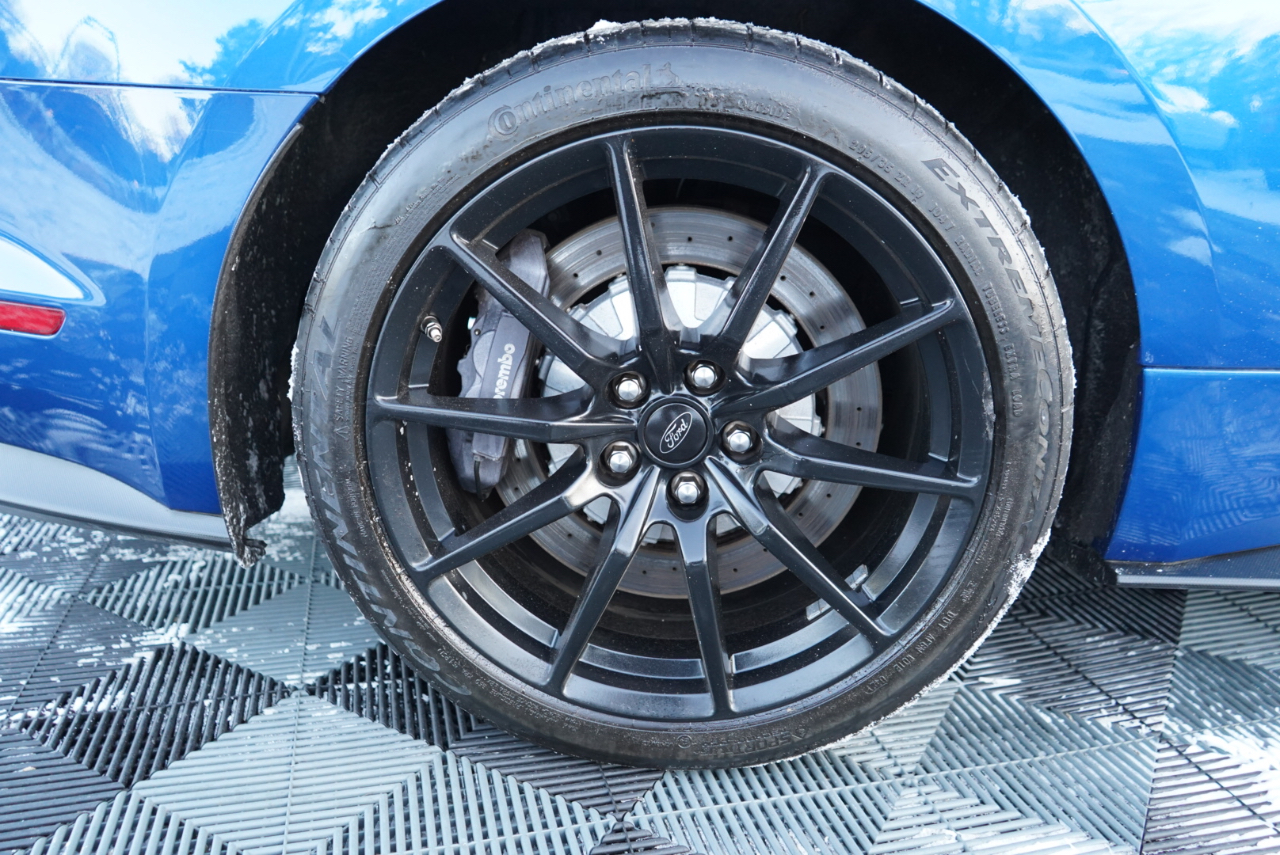 Ford Mustang Shelby GT350 Fastback 2017