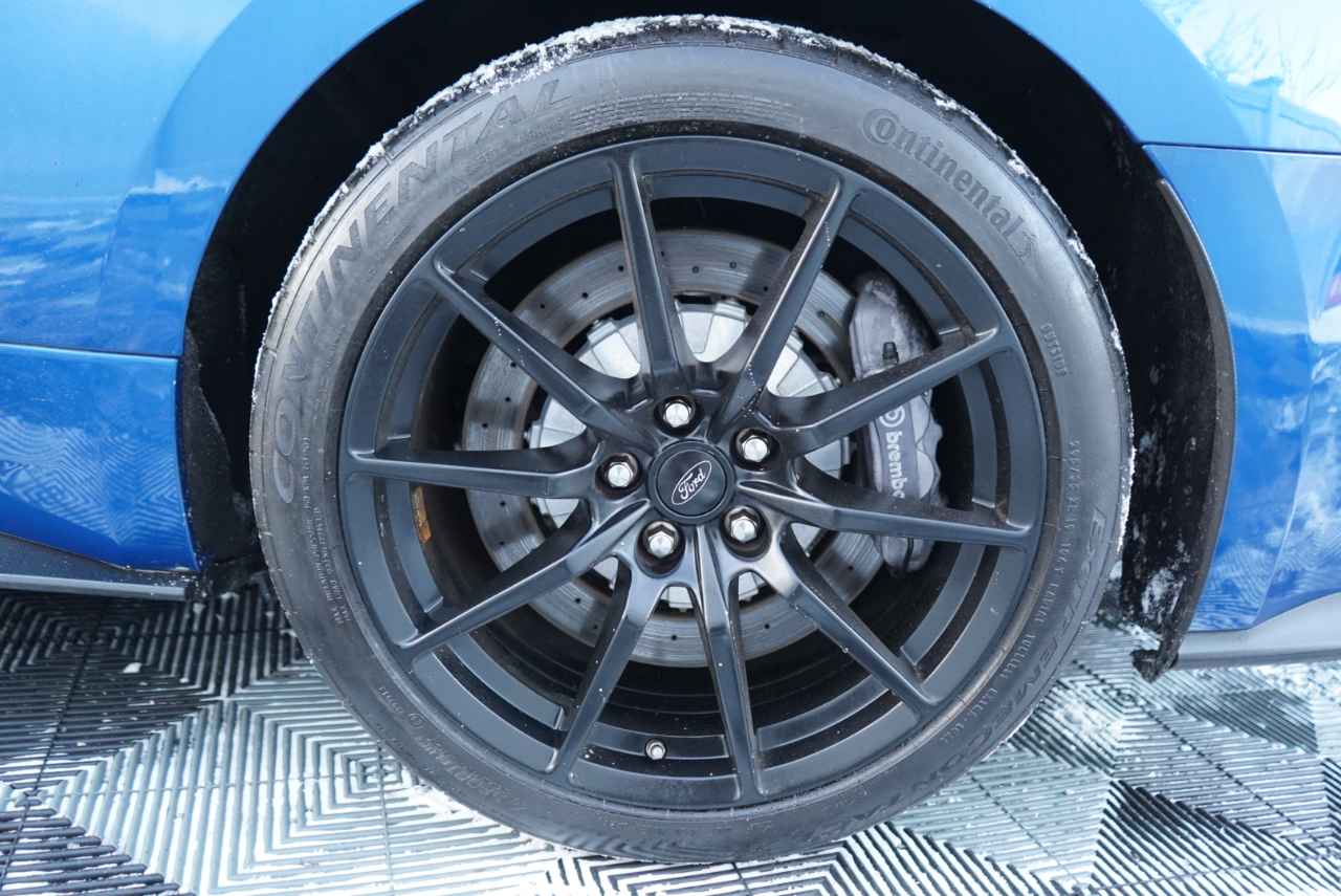 Ford Mustang Shelby GT350 Fastback 2017