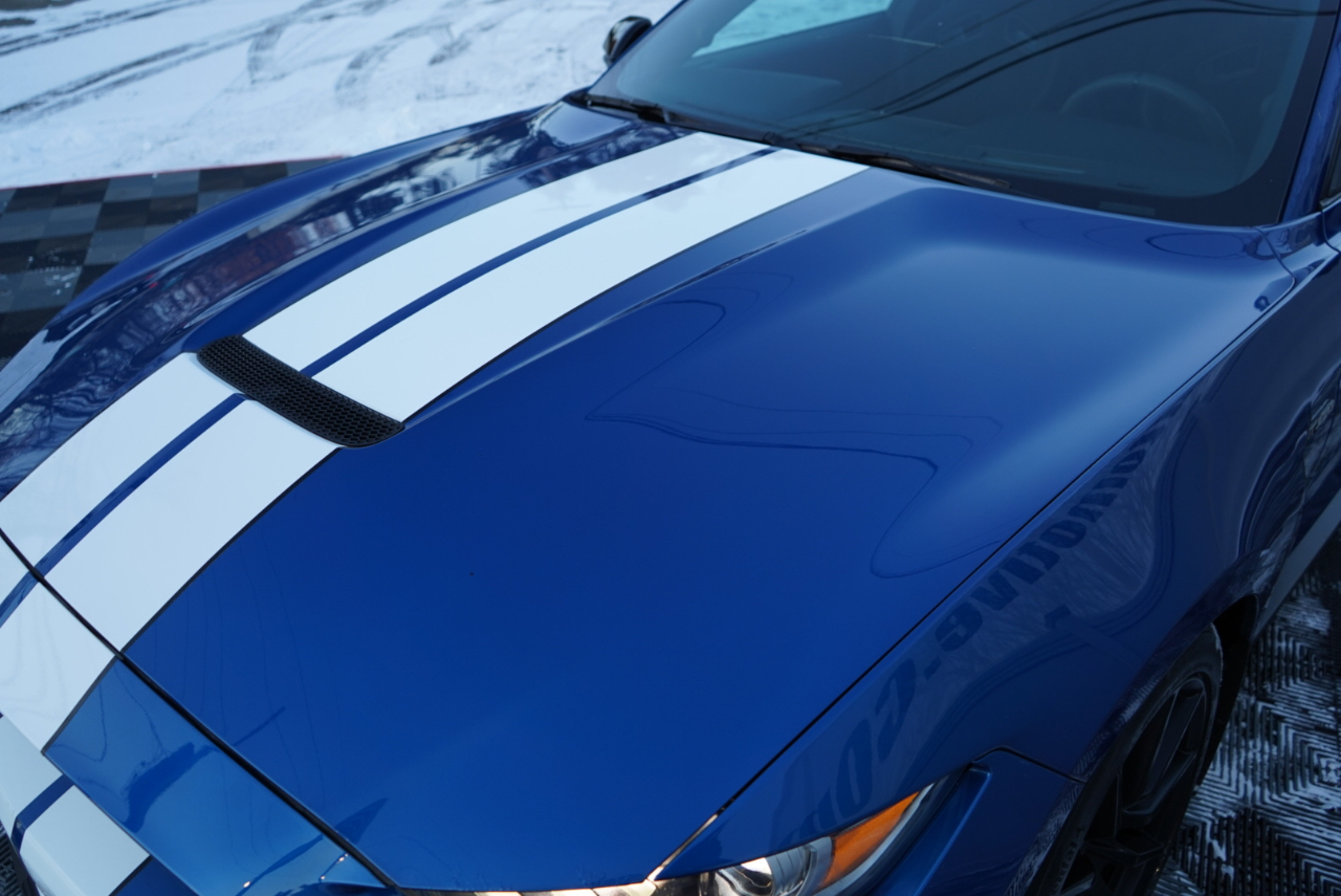 Ford Mustang Shelby GT350 Fastback 2017