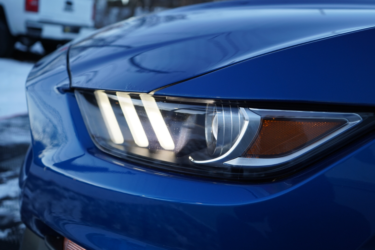 Ford Mustang Shelby GT350 Fastback 2017