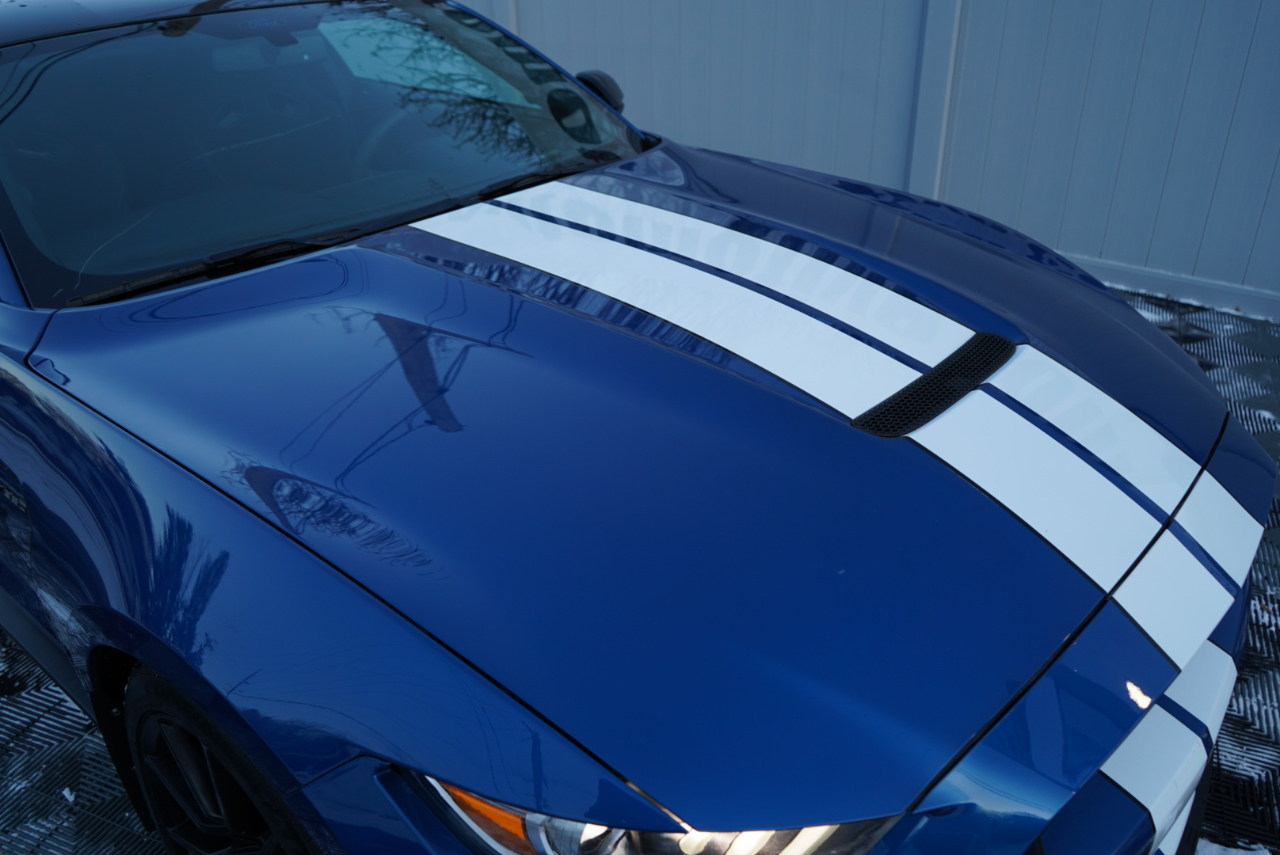 Ford Mustang Shelby GT350 Fastback 2017