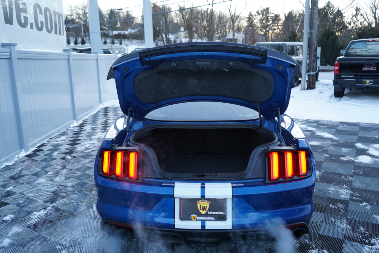 Ford Mustang Shelby GT350 Fastback 2017
