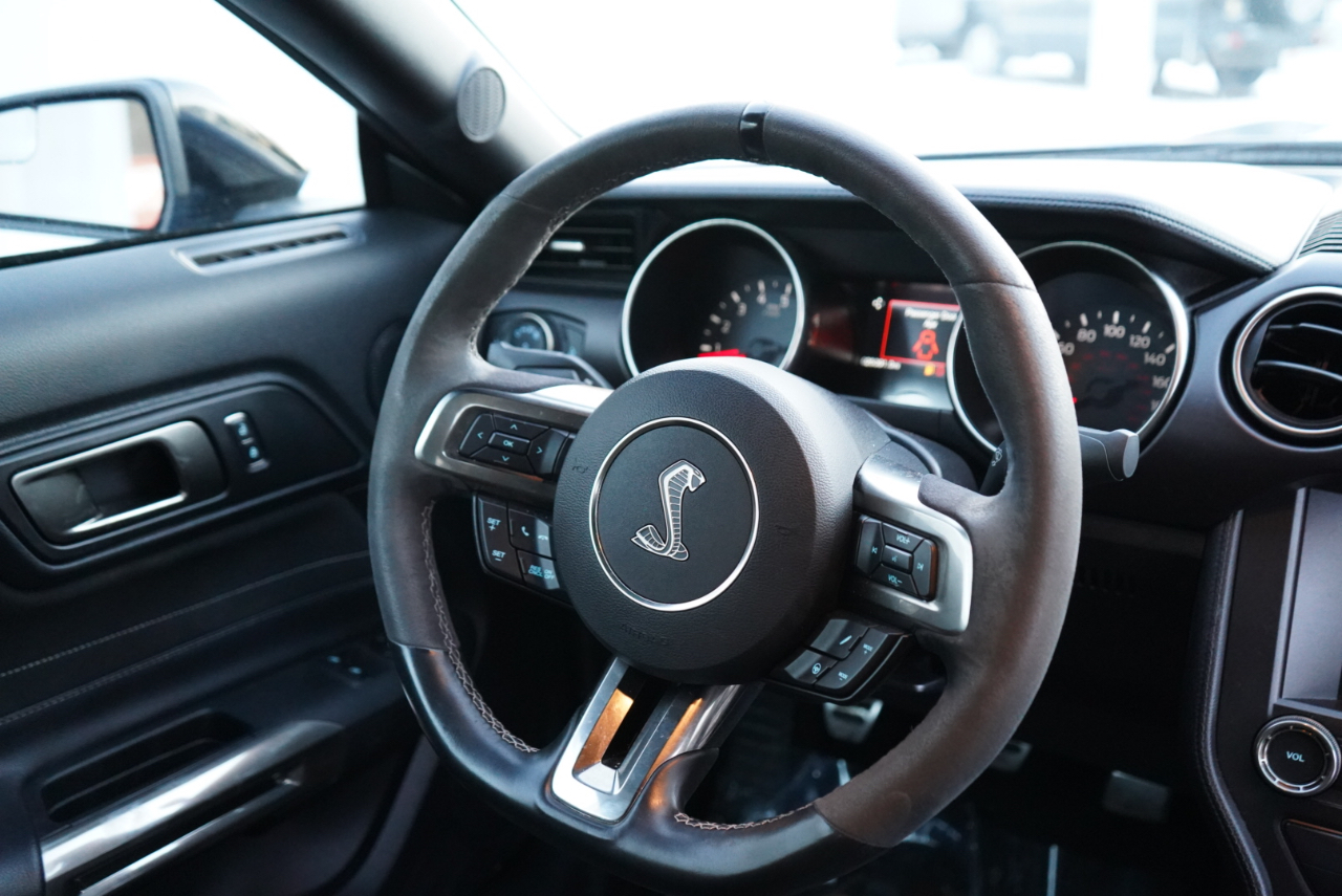 Ford Mustang Shelby GT350 Fastback 2017