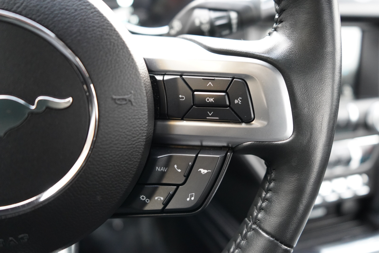 Ford Mustang GT Fastback 2018