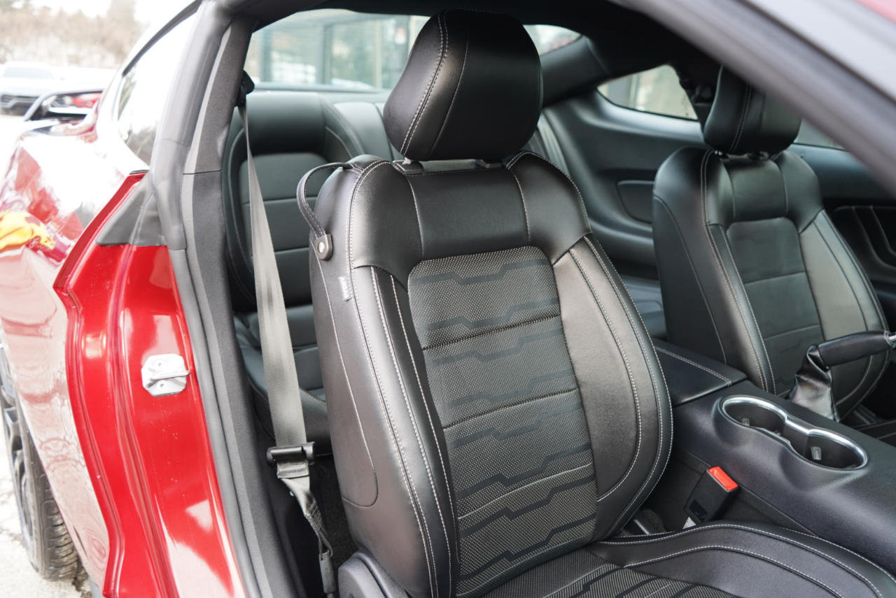 Ford Mustang GT Fastback 2018