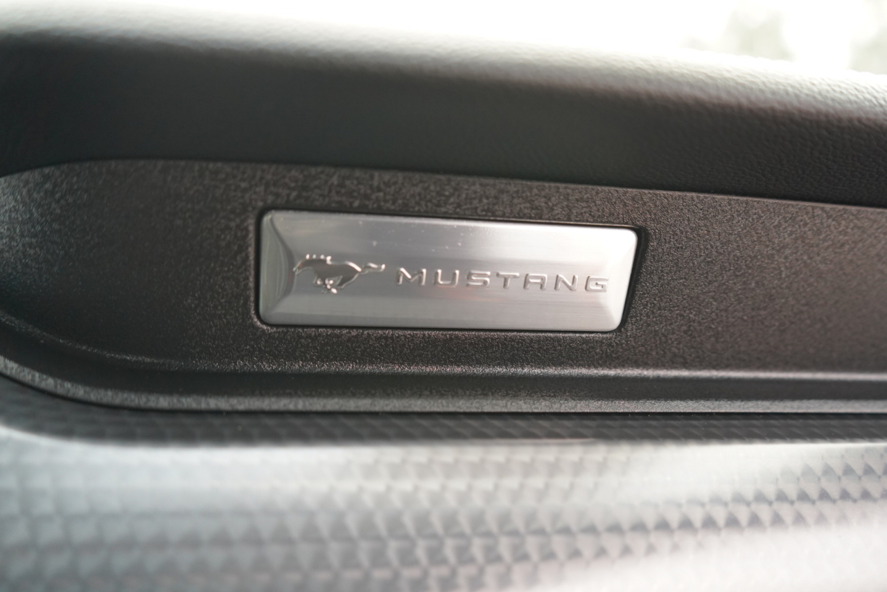 Ford Mustang GT Fastback 2018