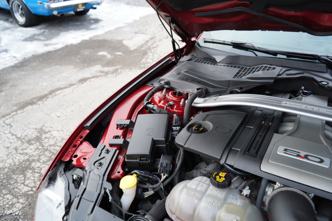 Ford Mustang GT Fastback 2018