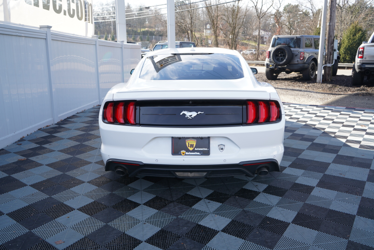 Ford Mustang EcoBoost Fastback 2021