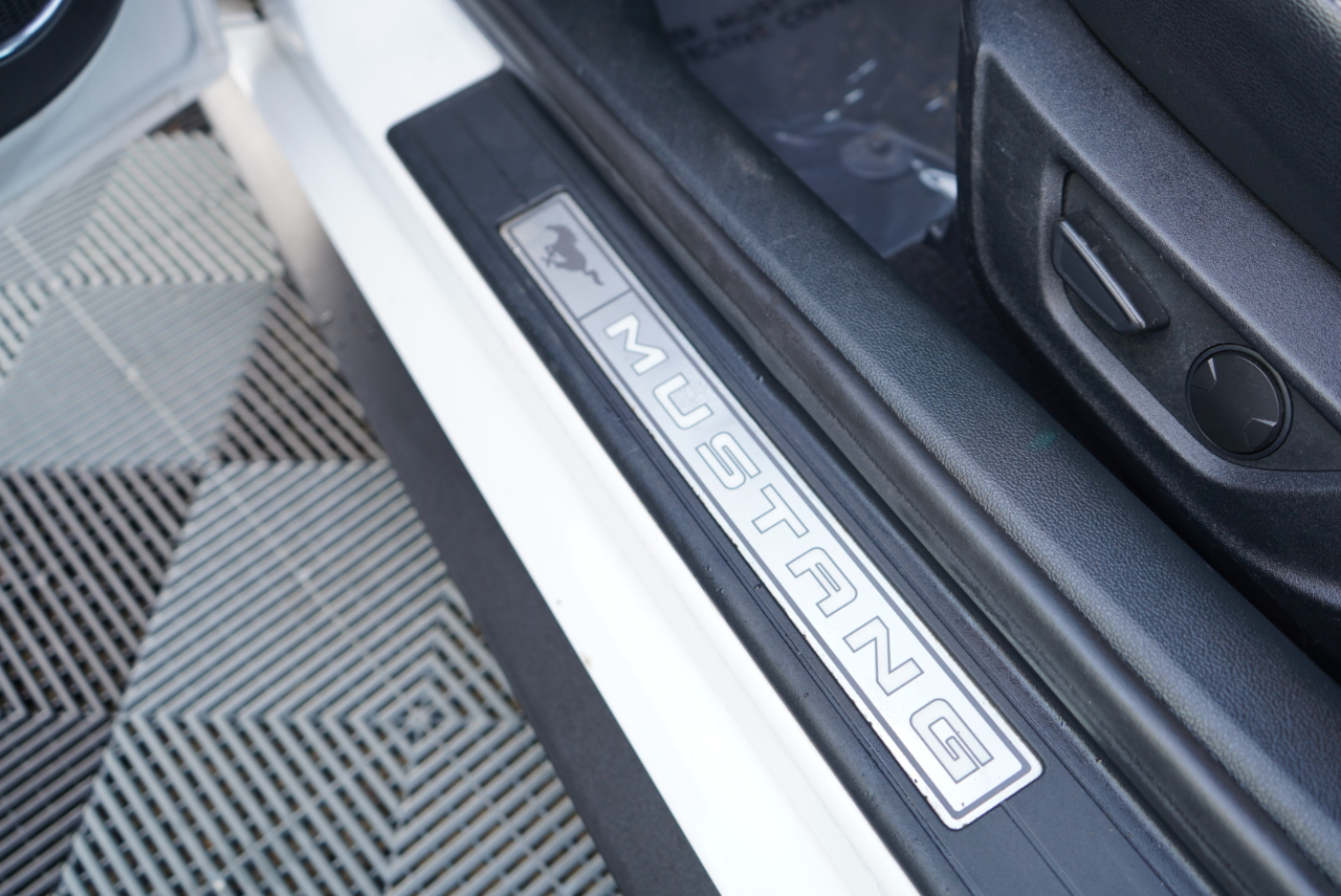 Ford Mustang EcoBoost Fastback 2021