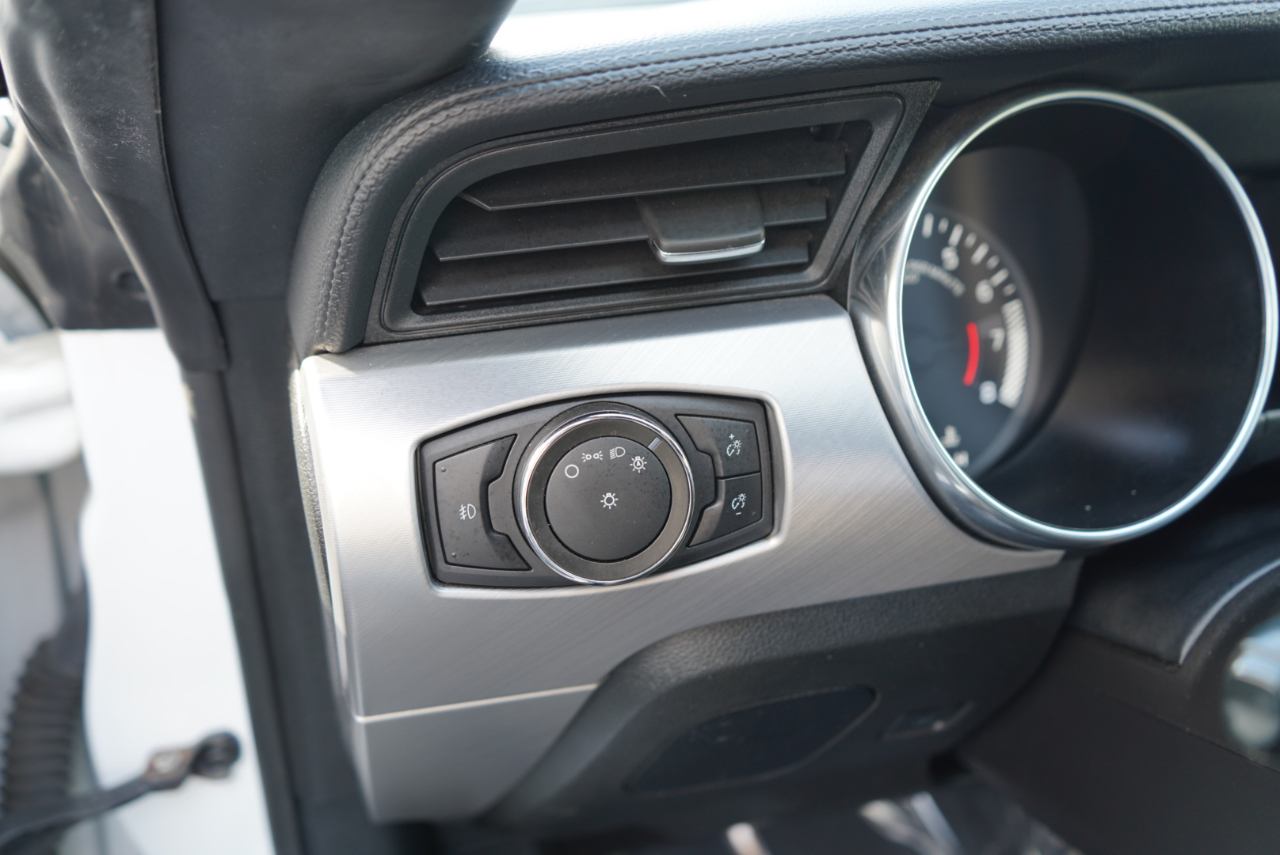 Ford Mustang EcoBoost Fastback 2021