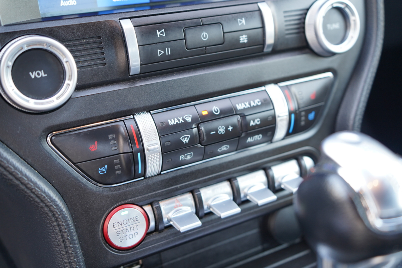 Ford Mustang EcoBoost Fastback 2021