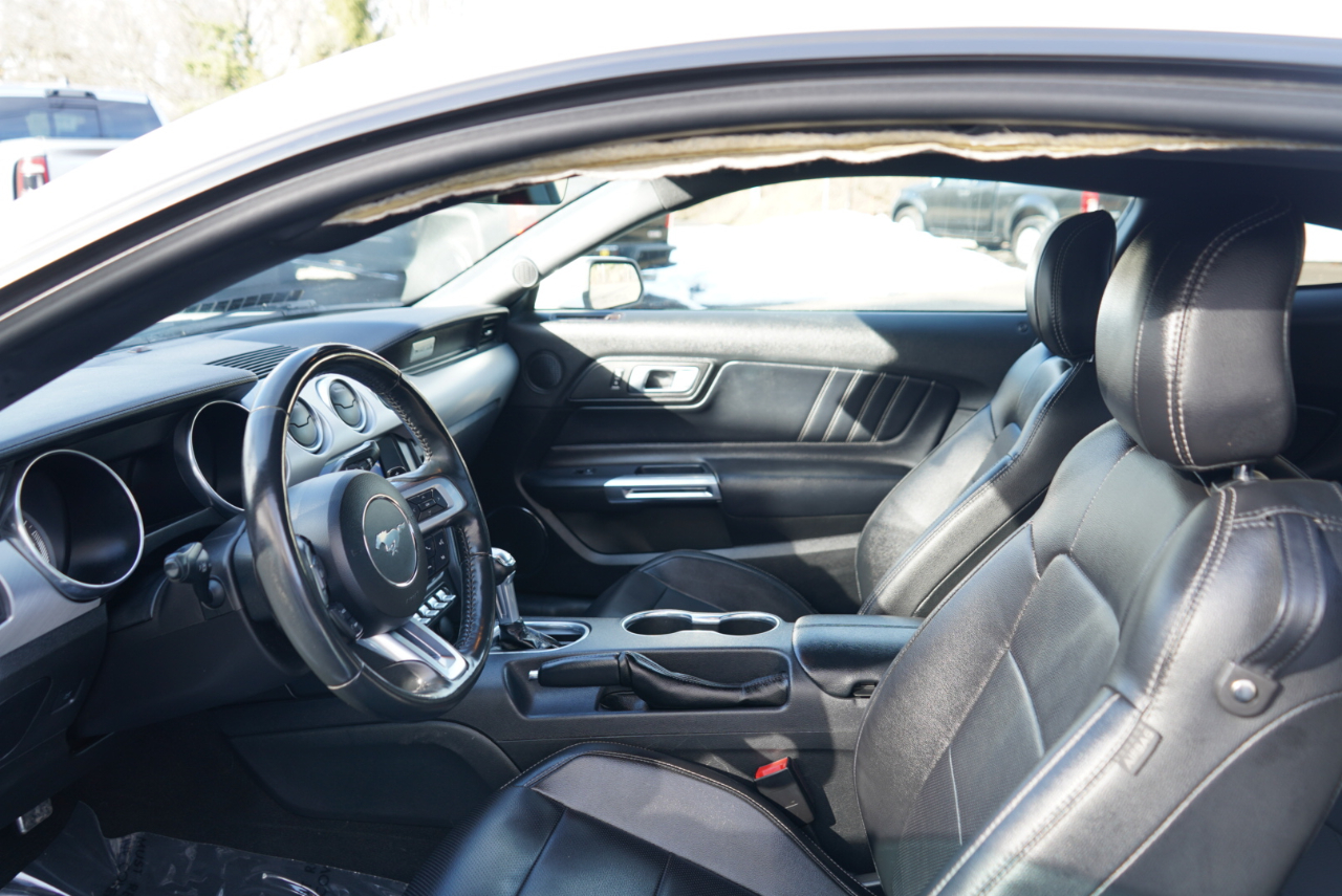 Ford Mustang EcoBoost Fastback 2021