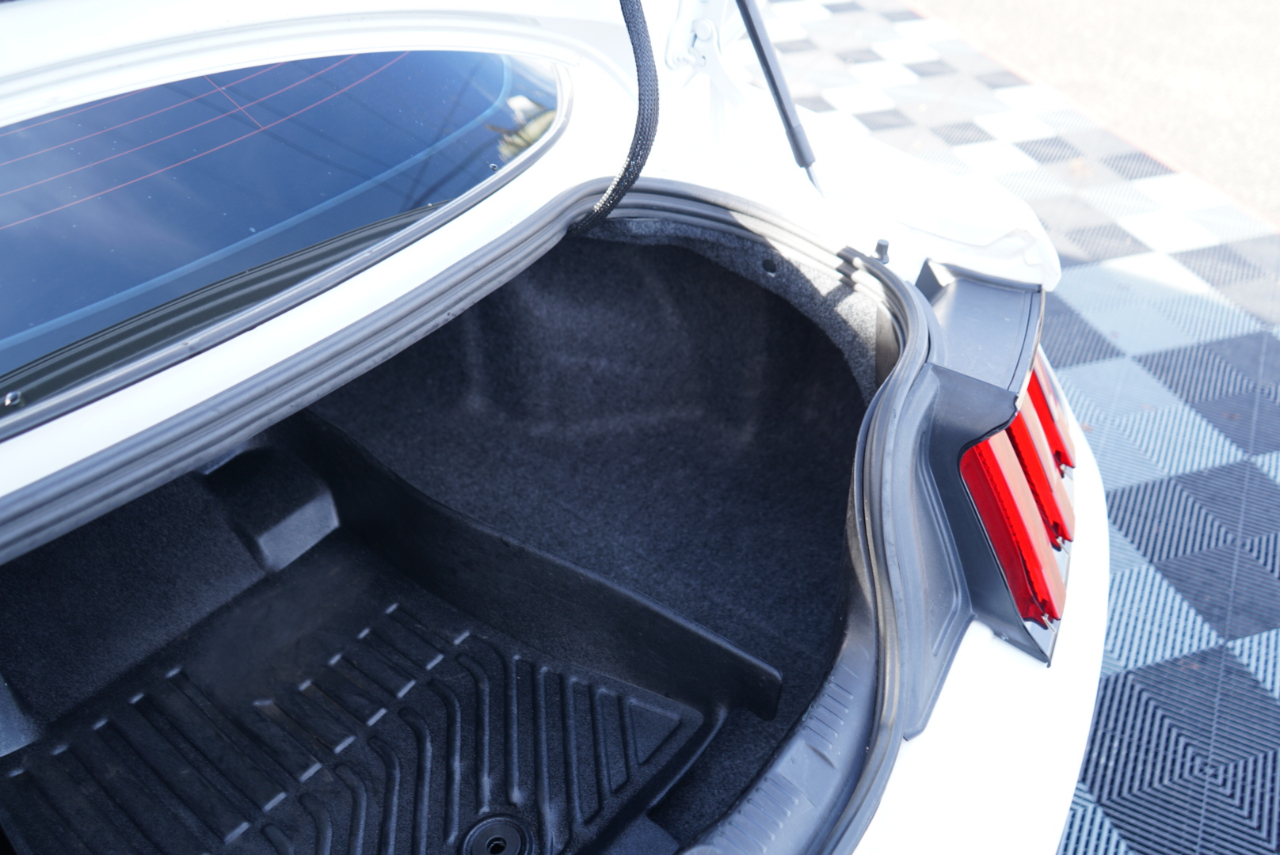 Ford Mustang EcoBoost Fastback 2021