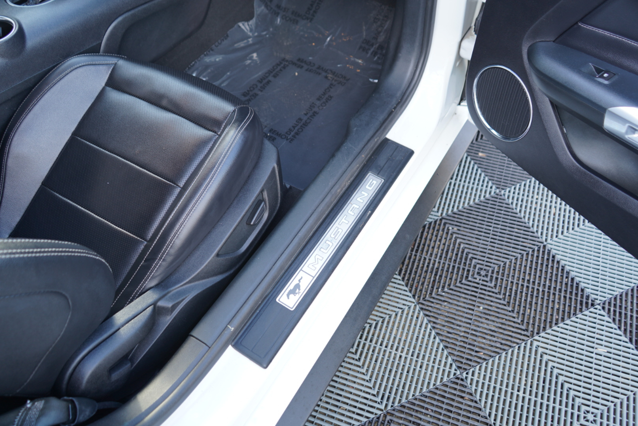 Ford Mustang EcoBoost Fastback 2021