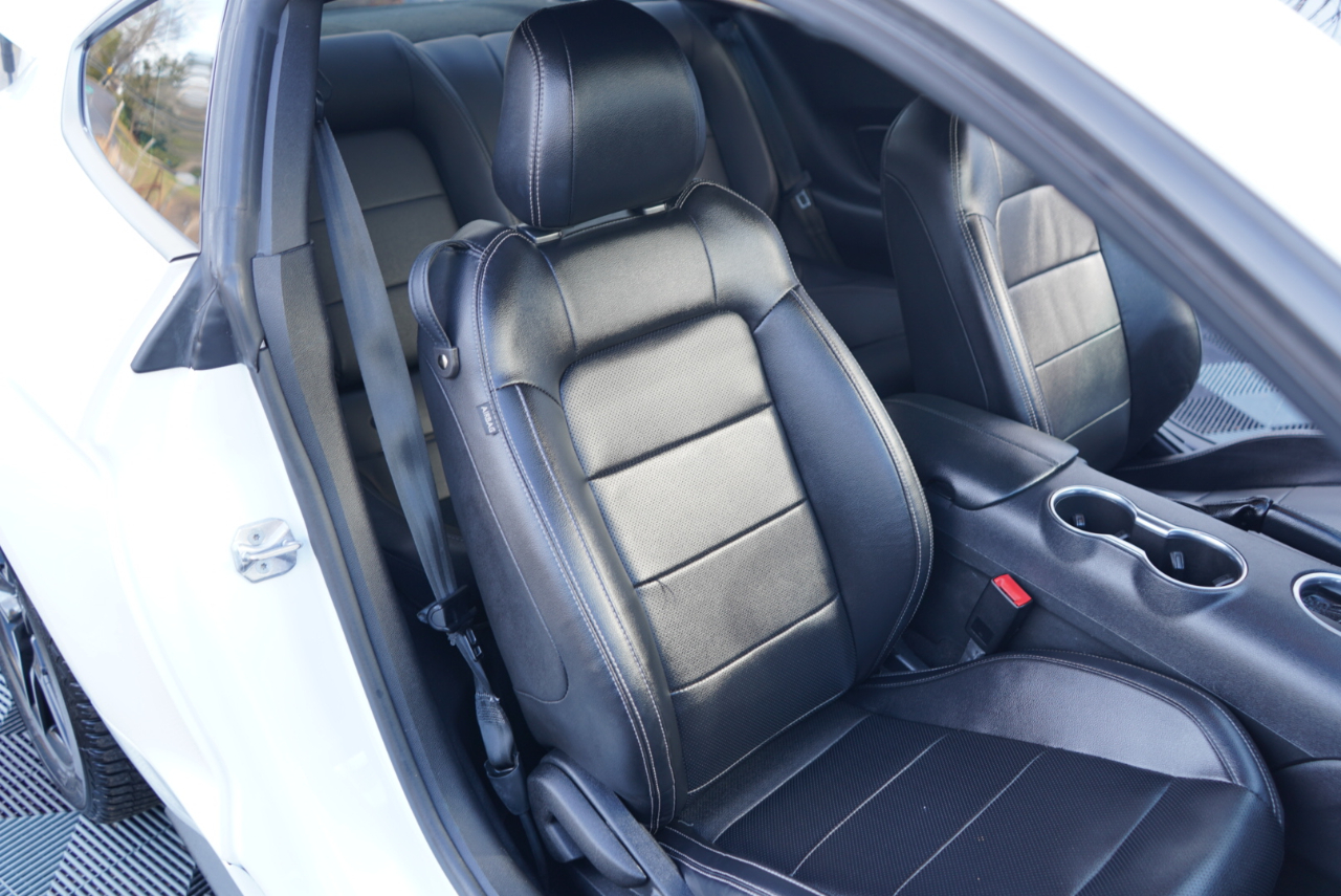 Ford Mustang EcoBoost Fastback 2021