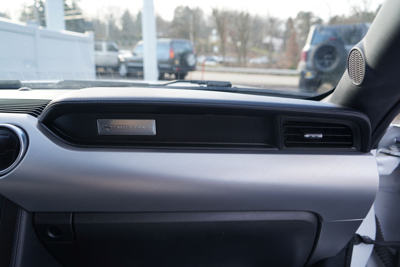 Ford Mustang EcoBoost Fastback 2021