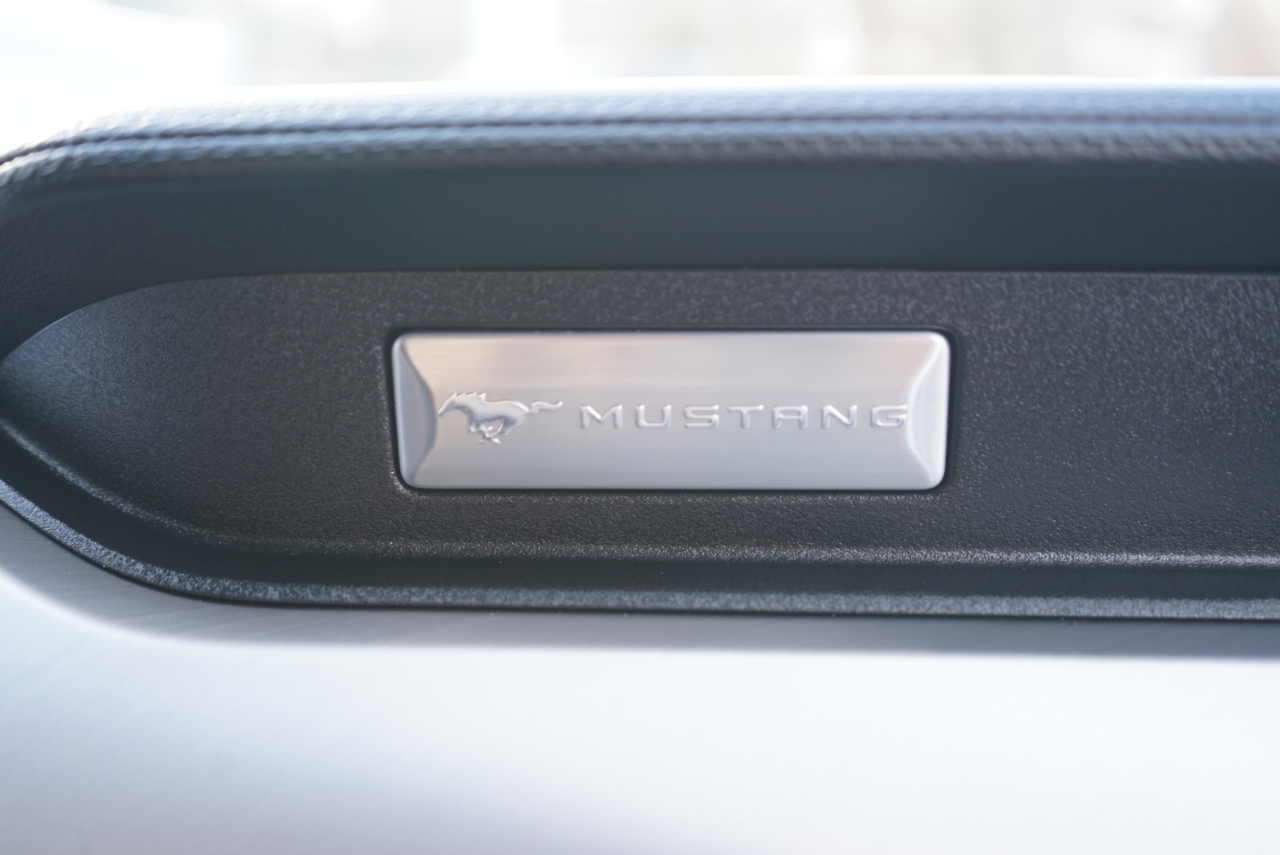 Ford Mustang EcoBoost Fastback 2021