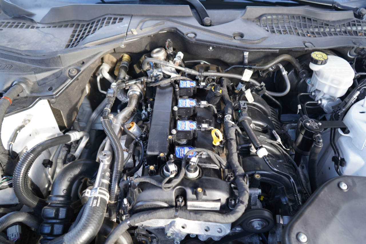 Ford Mustang EcoBoost Fastback 2021