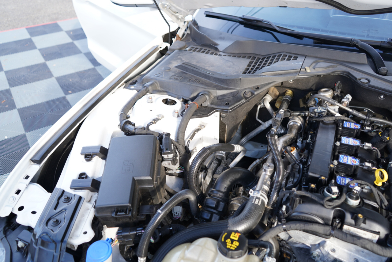 Ford Mustang EcoBoost Fastback 2021