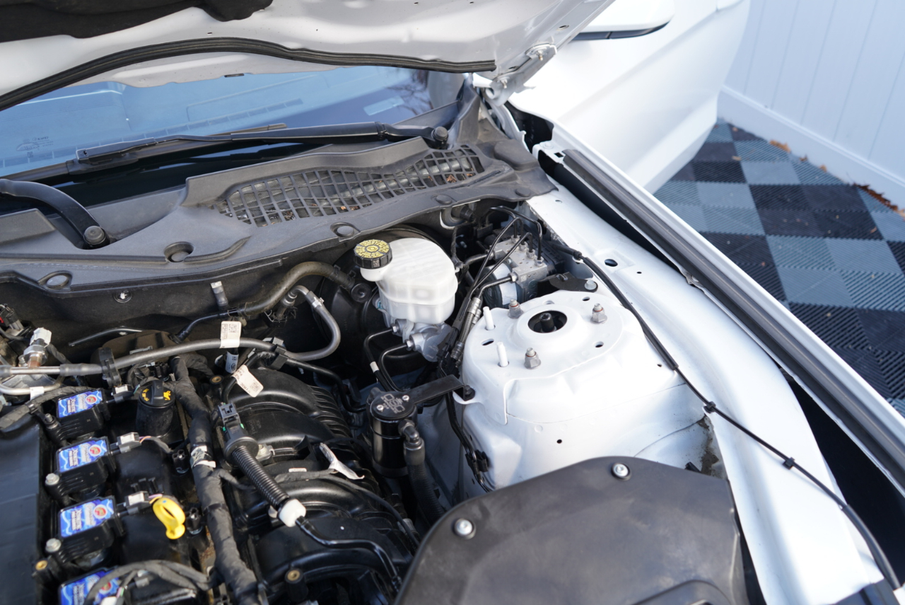 Ford Mustang EcoBoost Fastback 2021