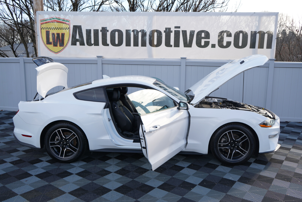 Ford Mustang EcoBoost Fastback 2021