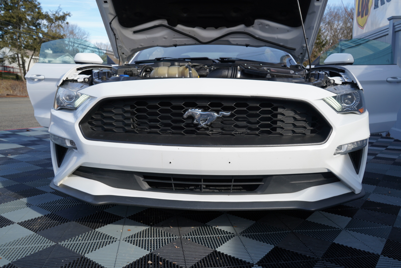 Ford Mustang EcoBoost Fastback 2021