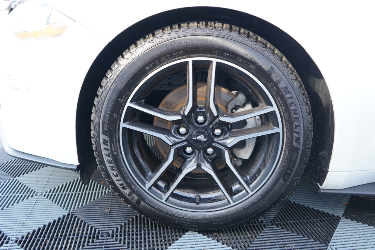 Ford Mustang EcoBoost Fastback 2021