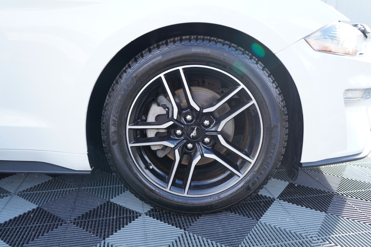 Ford Mustang EcoBoost Fastback 2021