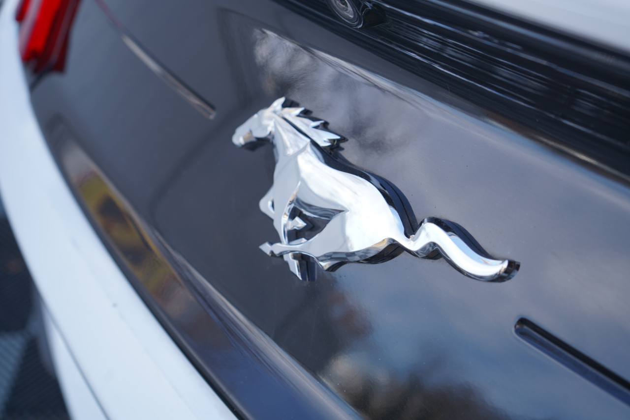 Ford Mustang EcoBoost Fastback 2021