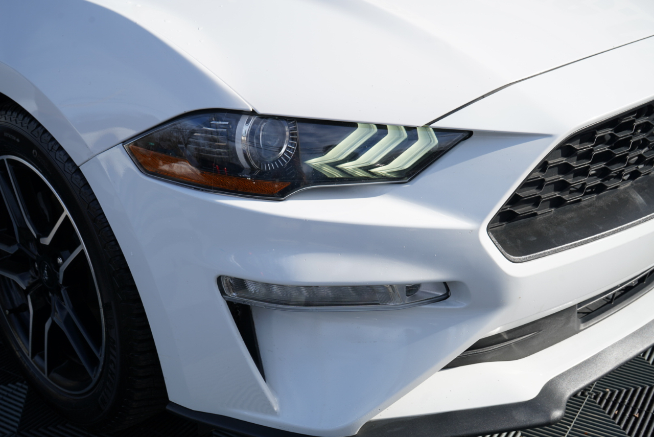 Ford Mustang EcoBoost Fastback 2021