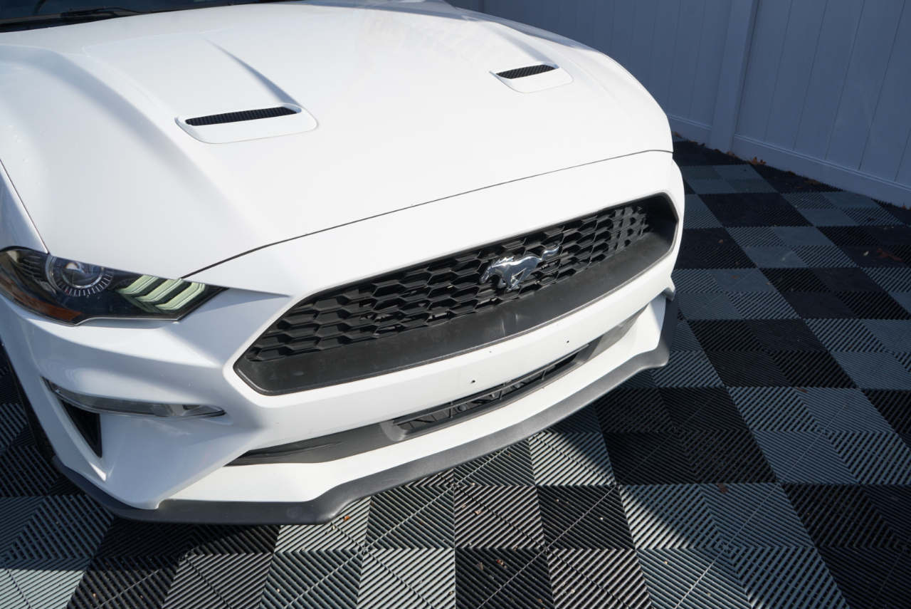 Ford Mustang EcoBoost Fastback 2021