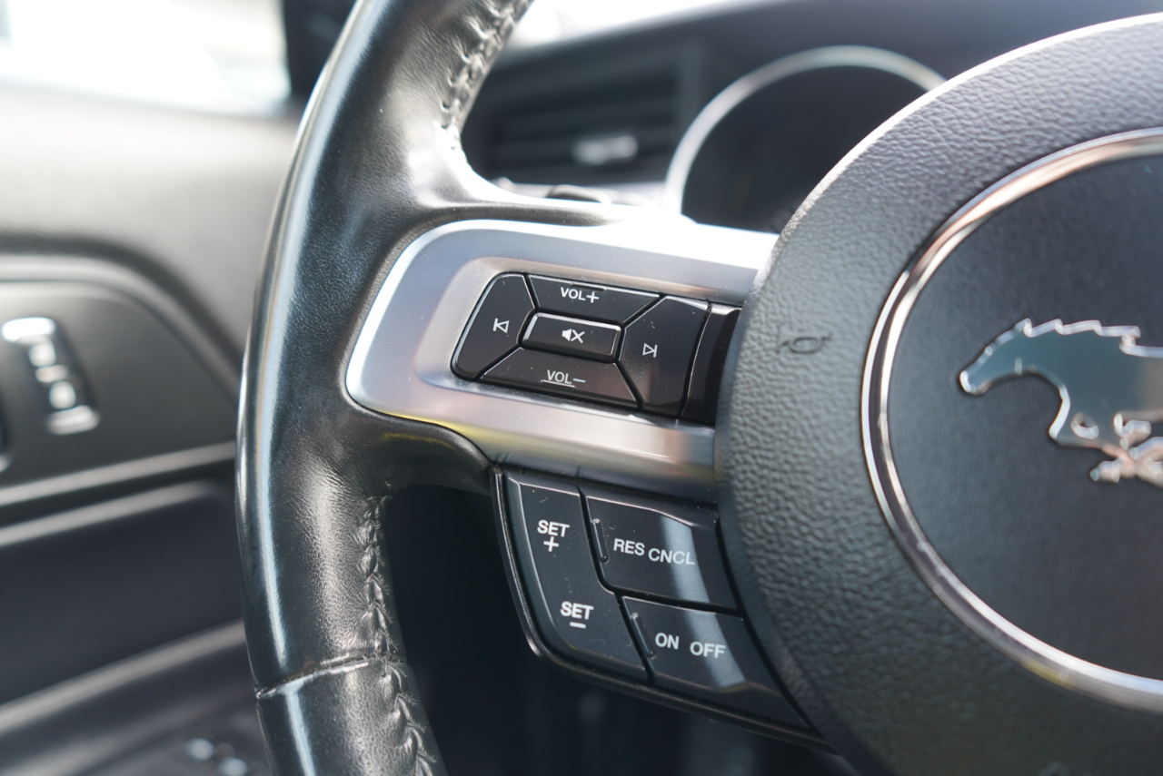 Ford Mustang EcoBoost Fastback 2021