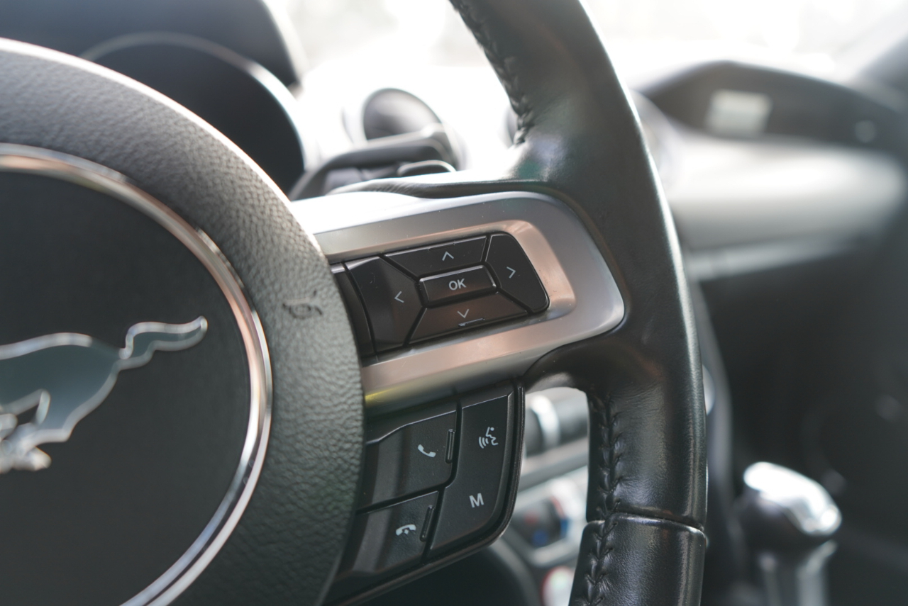 Ford Mustang EcoBoost Fastback 2021