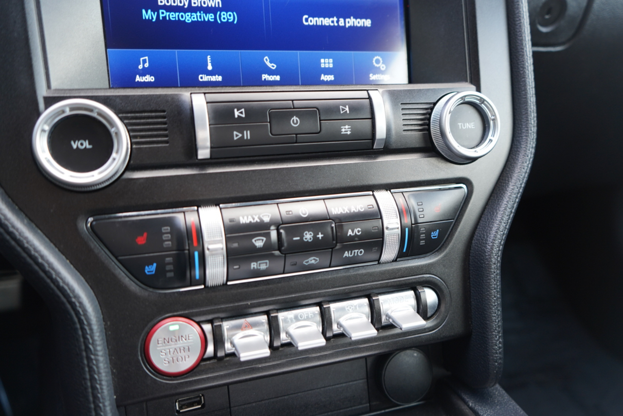 Ford Mustang EcoBoost Fastback 2021