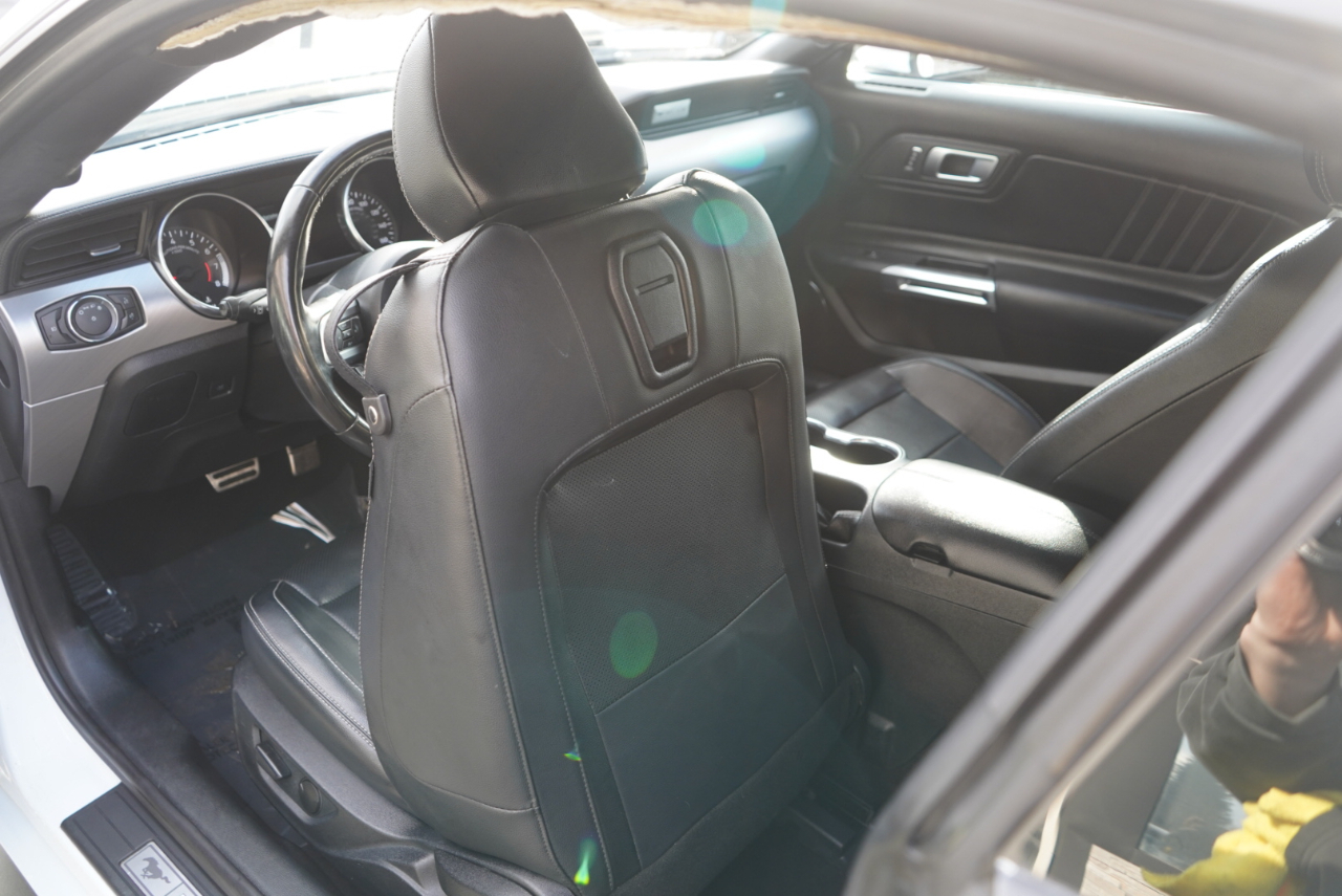 Ford Mustang EcoBoost Fastback 2021