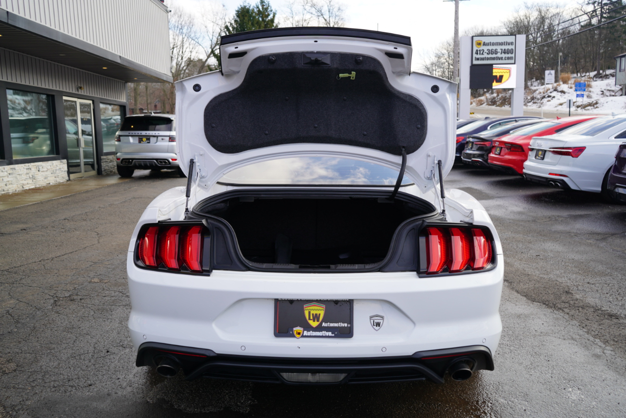 Ford Mustang EcoBoost Fastback 2021