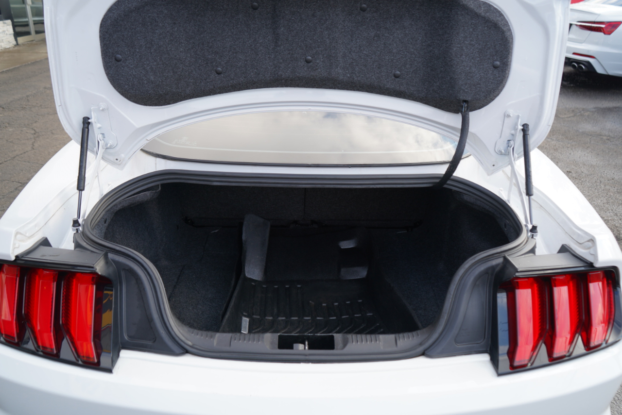 Ford Mustang EcoBoost Fastback 2021