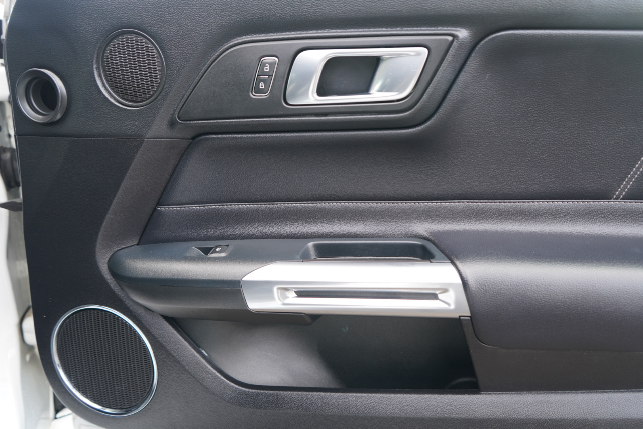 Ford Mustang EcoBoost Fastback 2021