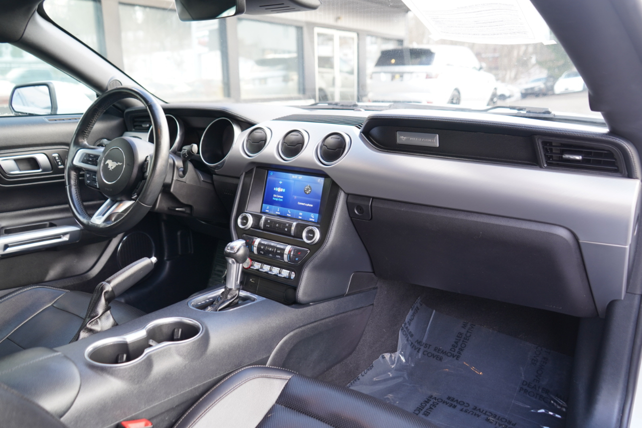 Ford Mustang EcoBoost Fastback 2021