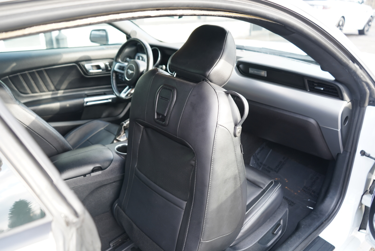 Ford Mustang EcoBoost Fastback 2021