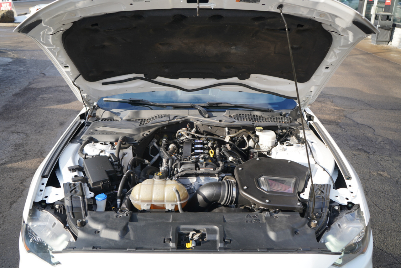 Ford Mustang EcoBoost Fastback 2021