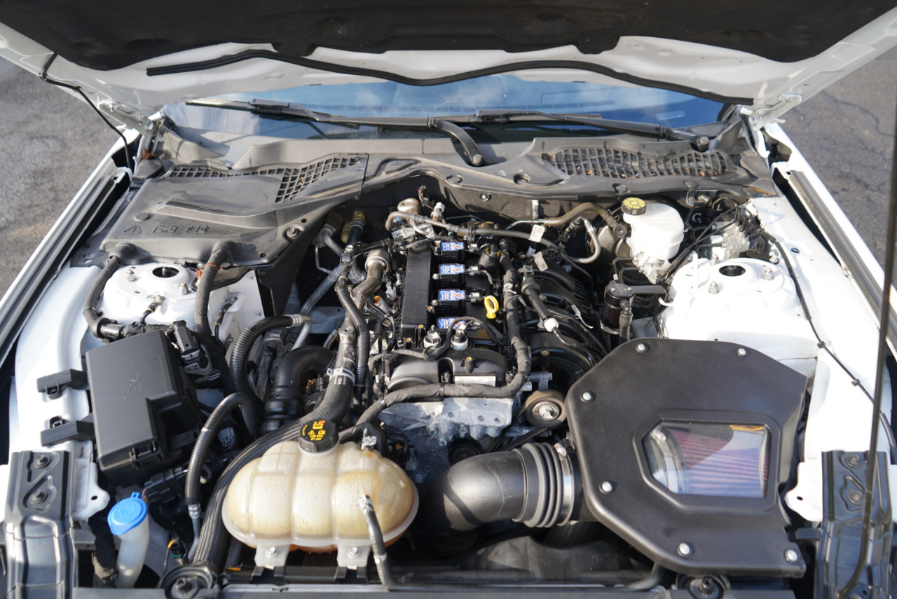 Ford Mustang EcoBoost Fastback 2021